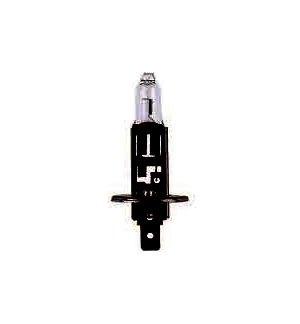 FOCO NARVA H1 RP50+